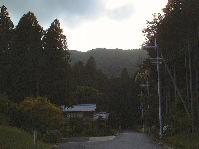 和田寺山頂